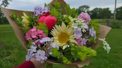 Pastel bouquet of peony, phlox and a pale sunflower