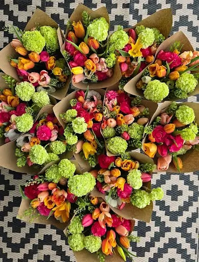 Spring subscription bouquets of tulips and green hydrangea wrapped and ready for pickup