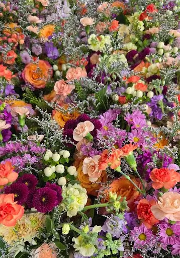 Close-up of garden roses, zinnias, asters and hypericum berries